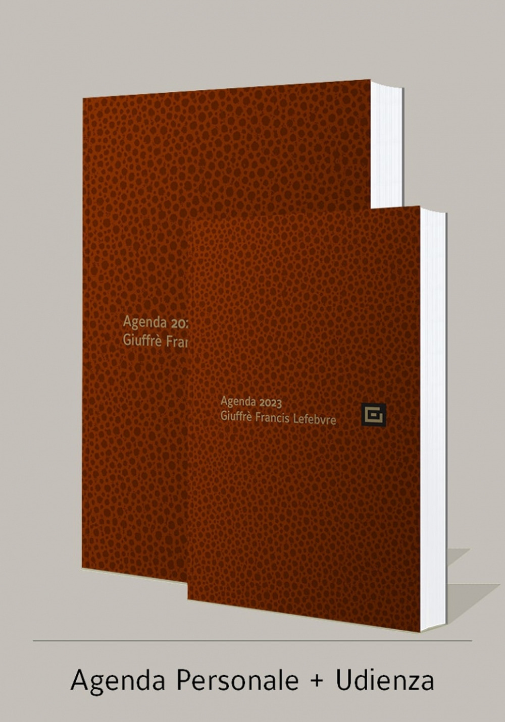 Agenda personale-Agenda d'udienza 2023. Ediz. marrone