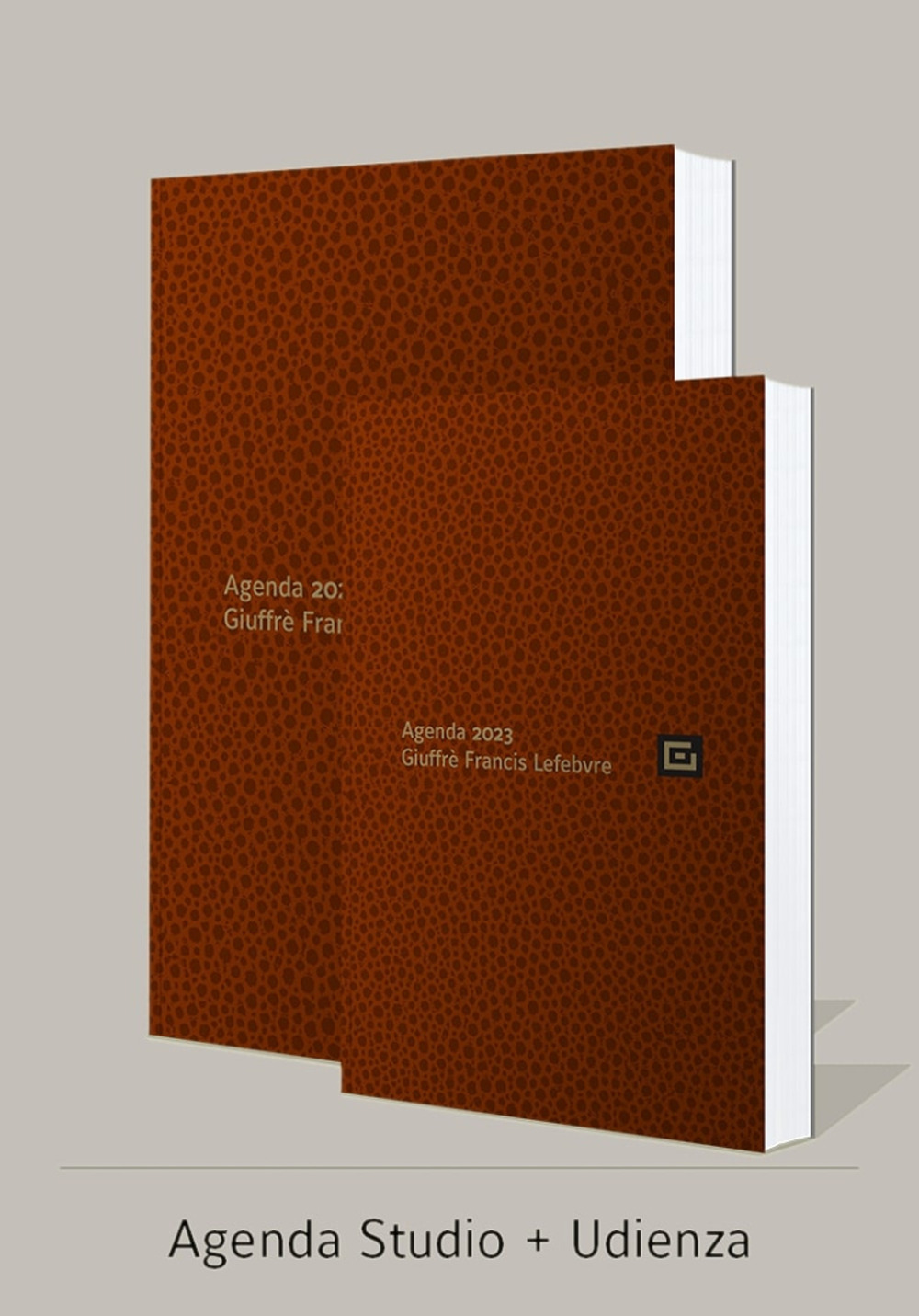 Agenda studio-Agenda d'udienza 2023. Ediz. marrone