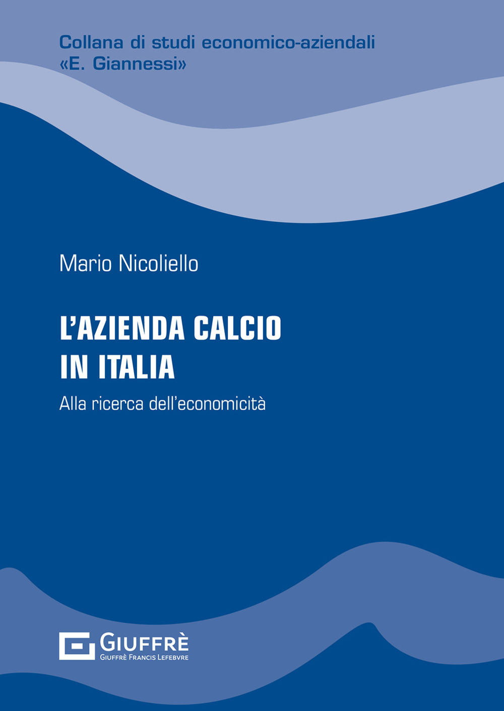 L'azienda calcio in Italia: alla ricerca dell'economicità