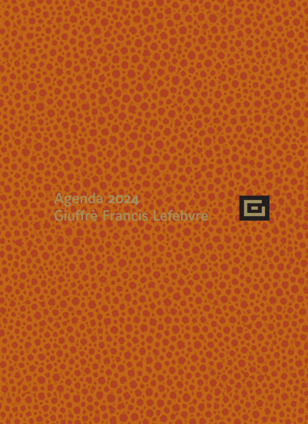 Agenda personale 2024. Ediz. arancione