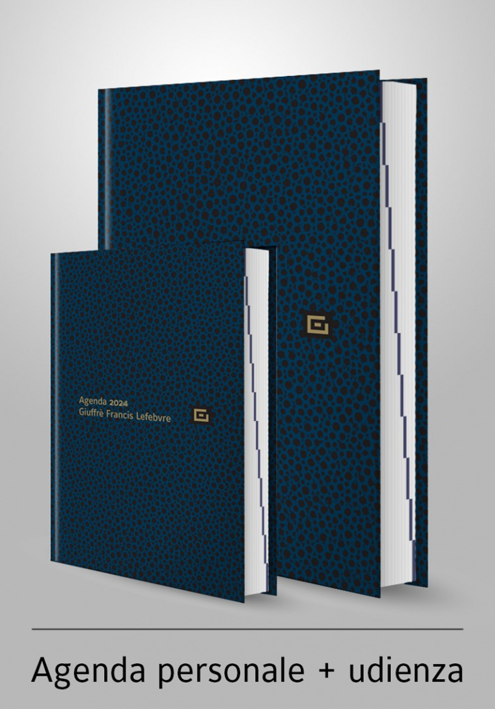 Agenda personale-Agenda d'udienza 2024. Ediz. blu
