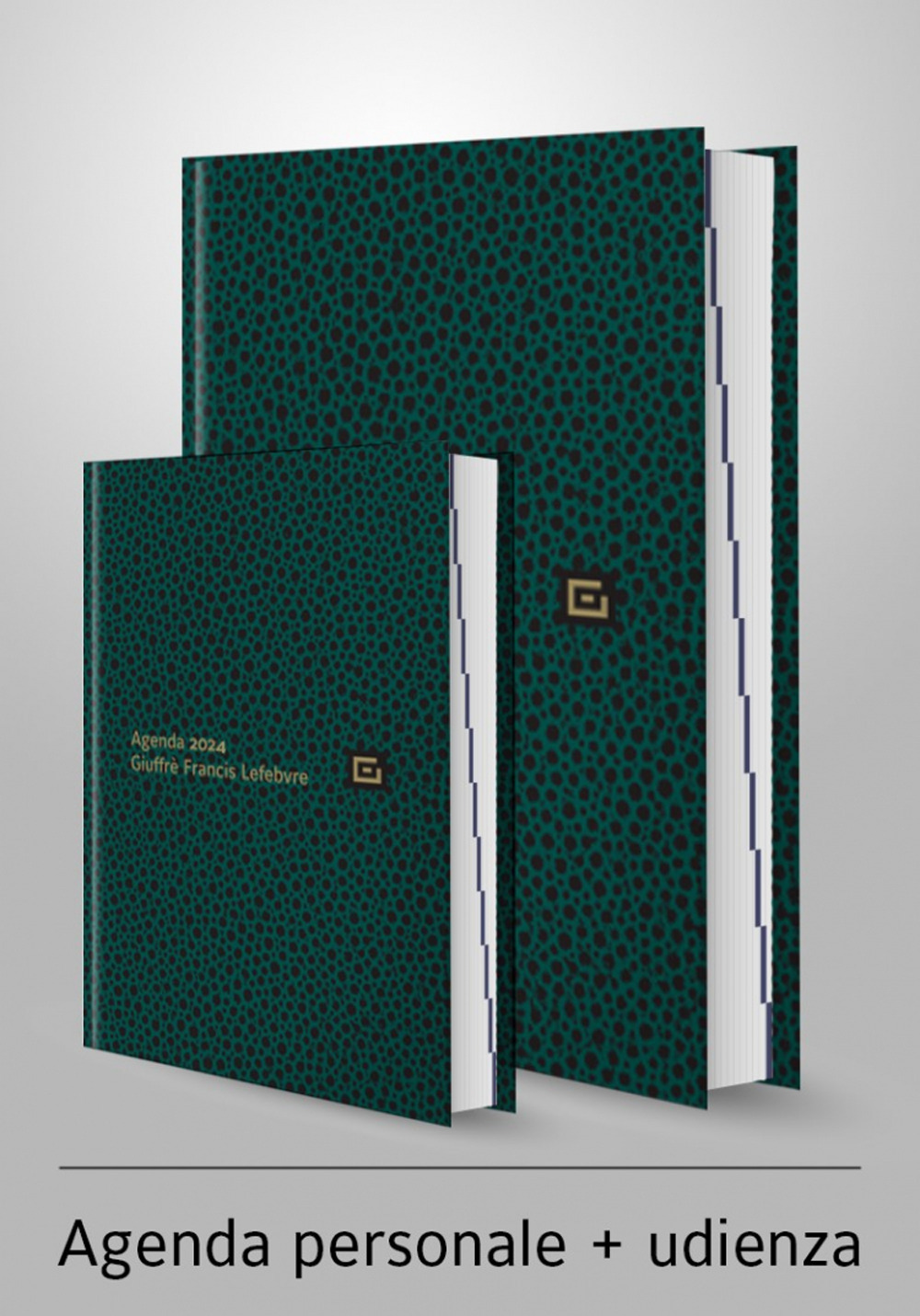 Agenda personale-Agenda d'udienza 2024. Ediz. verde