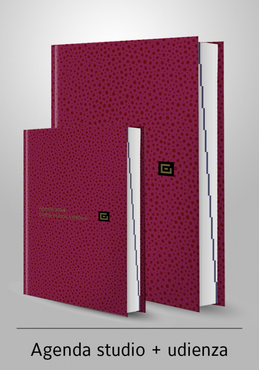 Agenda studio-Agenda d'udienza 2024. Ediz. rossa