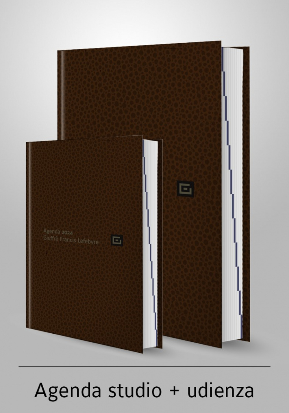 Agenda studio-Agenda d'udienza 2024. Ediz. marrone
