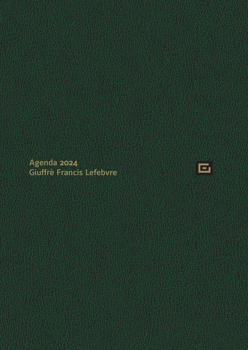 Agenda d'udienza 2024. Ediz. verde