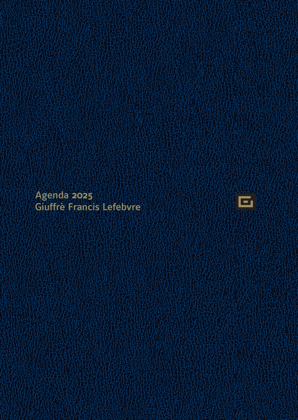 Agenda personale 2025. Ediz. blu