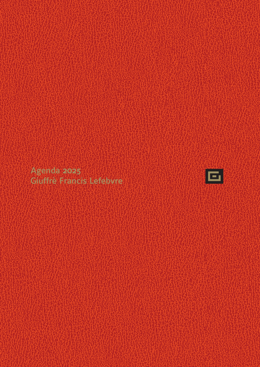 Agenda personale 2025. Ediz. arancione