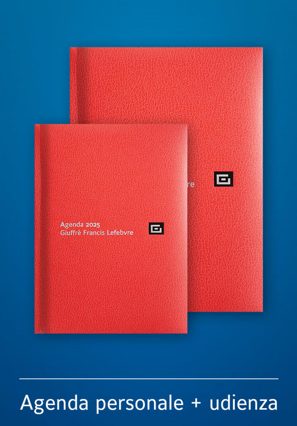 Agenda personale-Agenda d'udienza 2025. Ediz. rossa