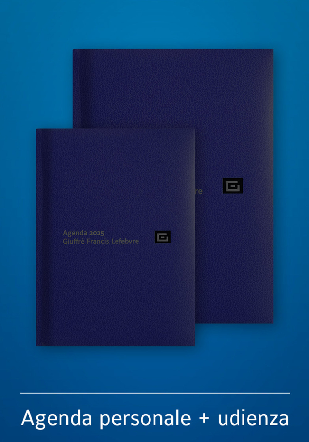 Agenda personale-Agenda d'udienza 2025. Ediz. blu