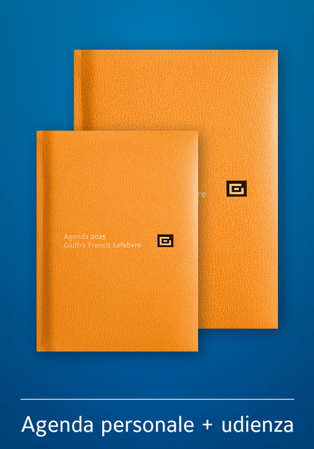 Agenda personale-Agenda d'udienza 2025. Ediz. arancione