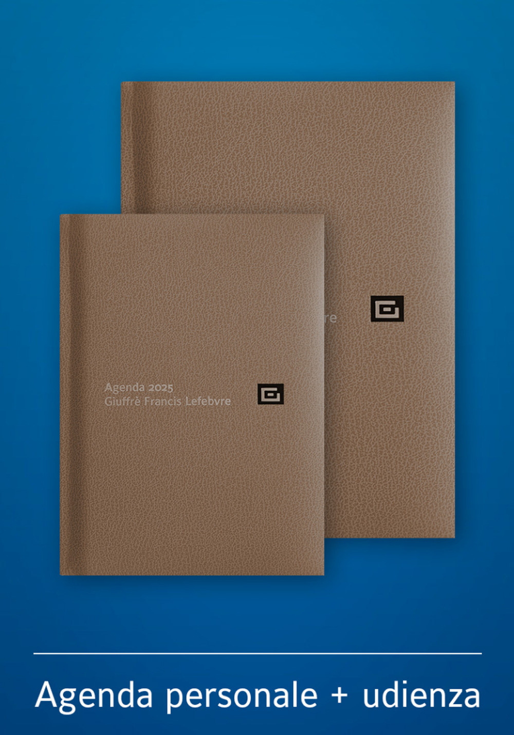 Agenda personale-Agenda d'udienza 2025. Ediz. marrone