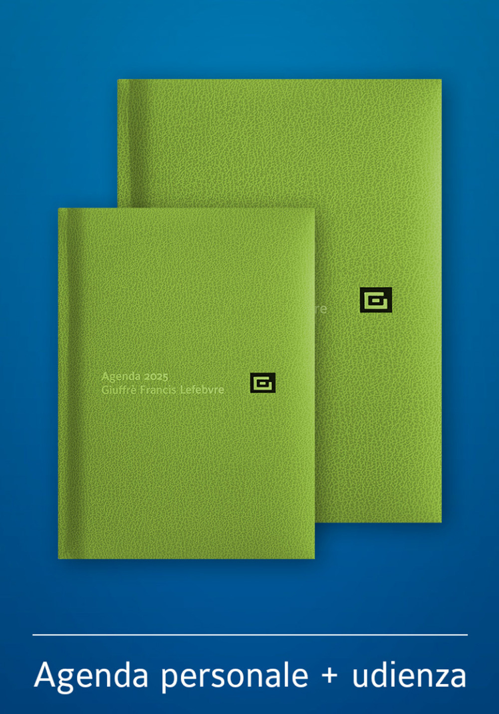 Agenda personale-Agenda d'udienza 2025. Ediz. verde