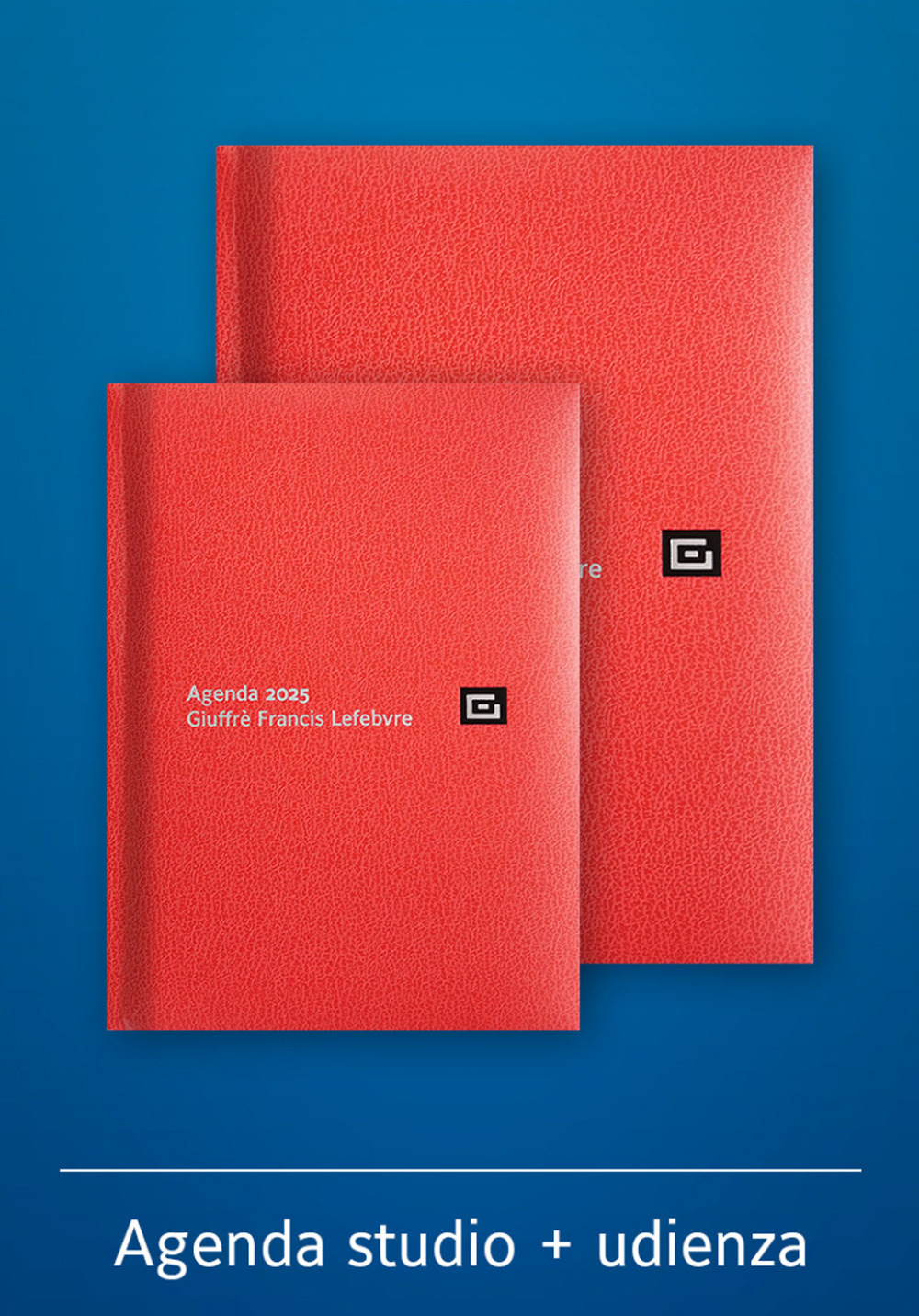 Agenda studio-Agenda d'udienza 2025. Ediz. rossa