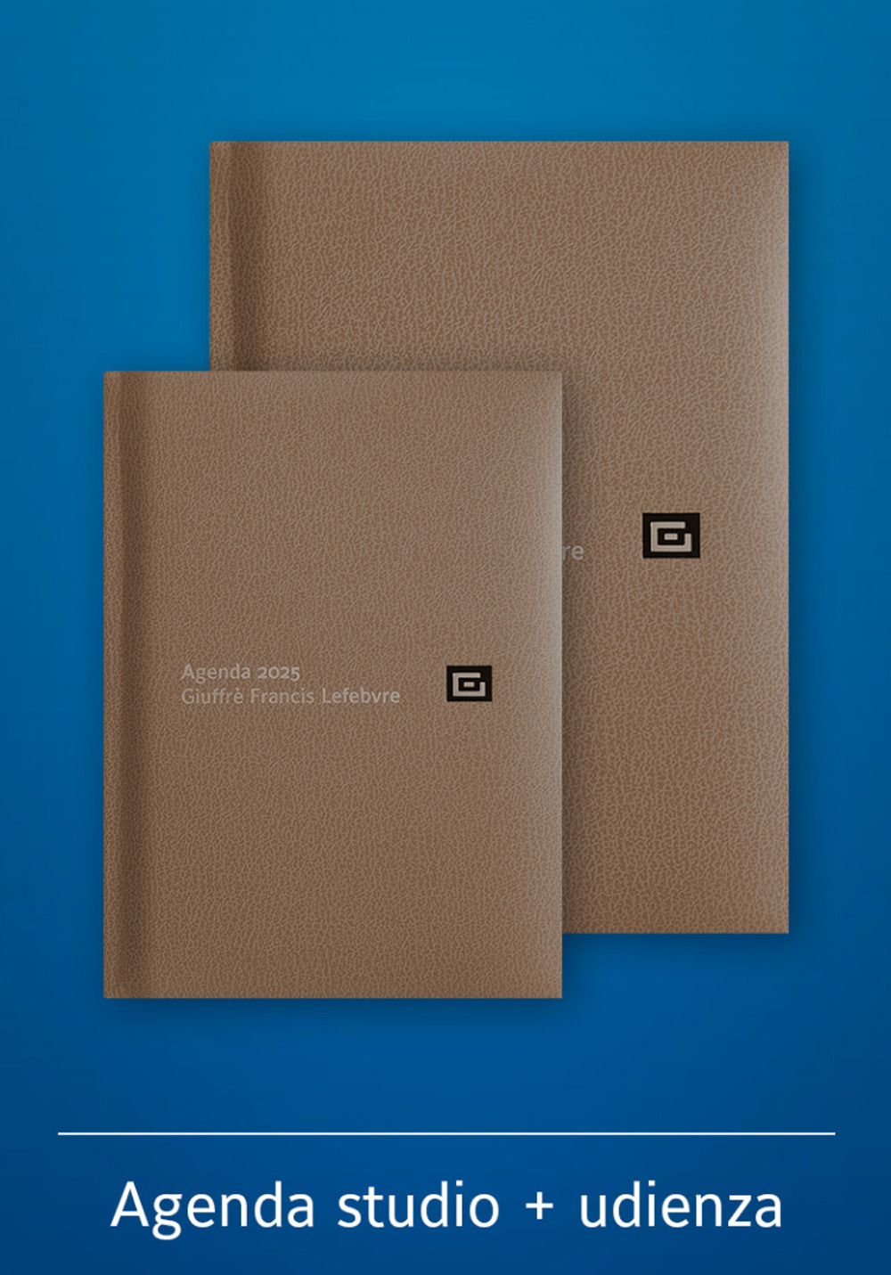 Agenda studio-Agenda d'udienza 2025. Ediz. marrone