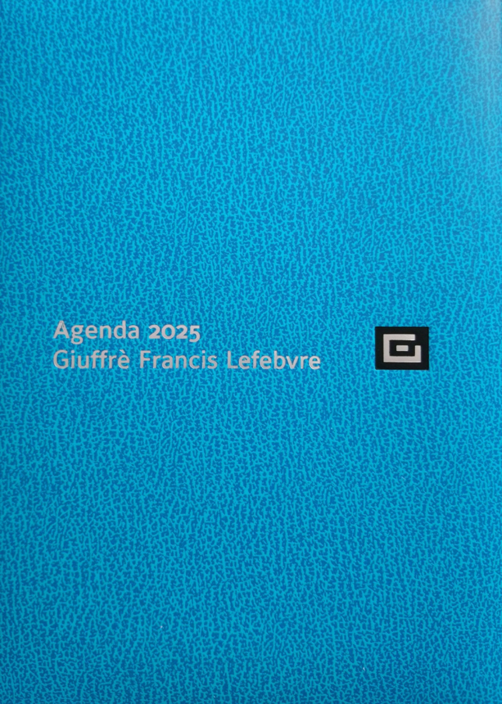 Agenda d'udienza 2025. Ediz. turchese
