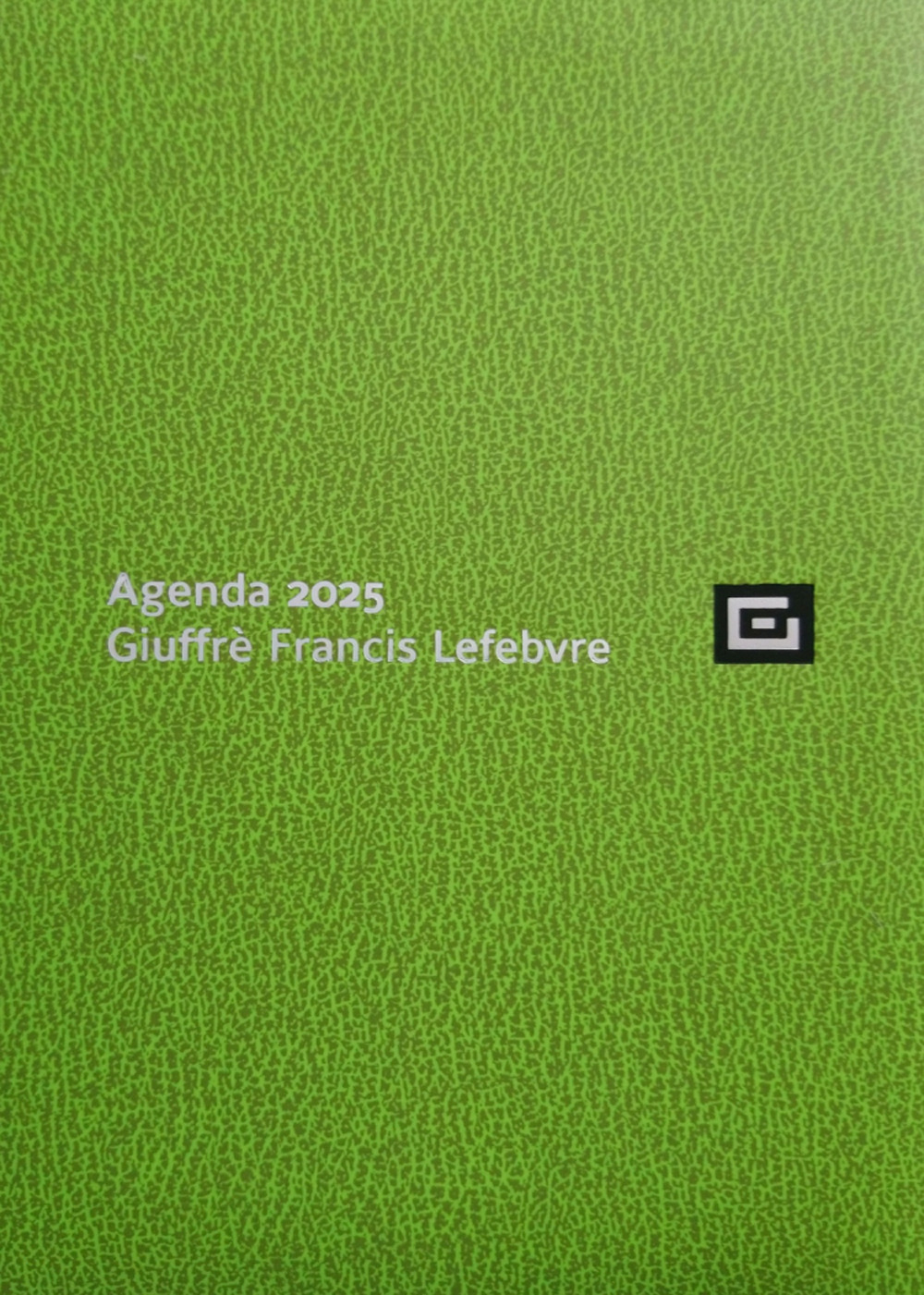 Agenda d'udienza 2025. Ediz. primavera