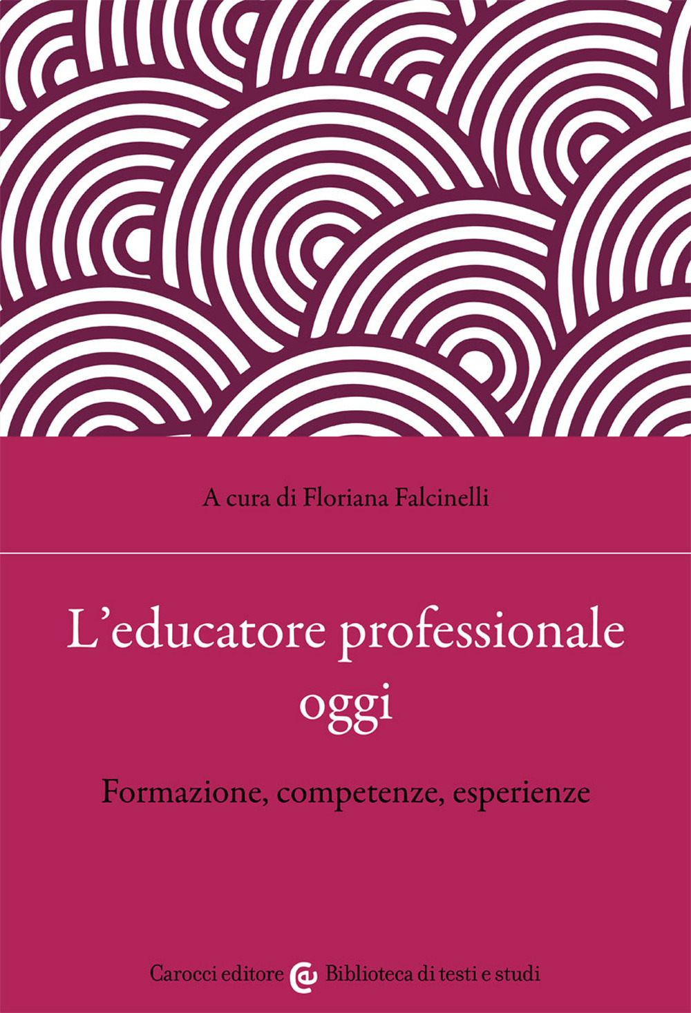 L'educatore professionale oggi. Formazione, competenze, esperienze