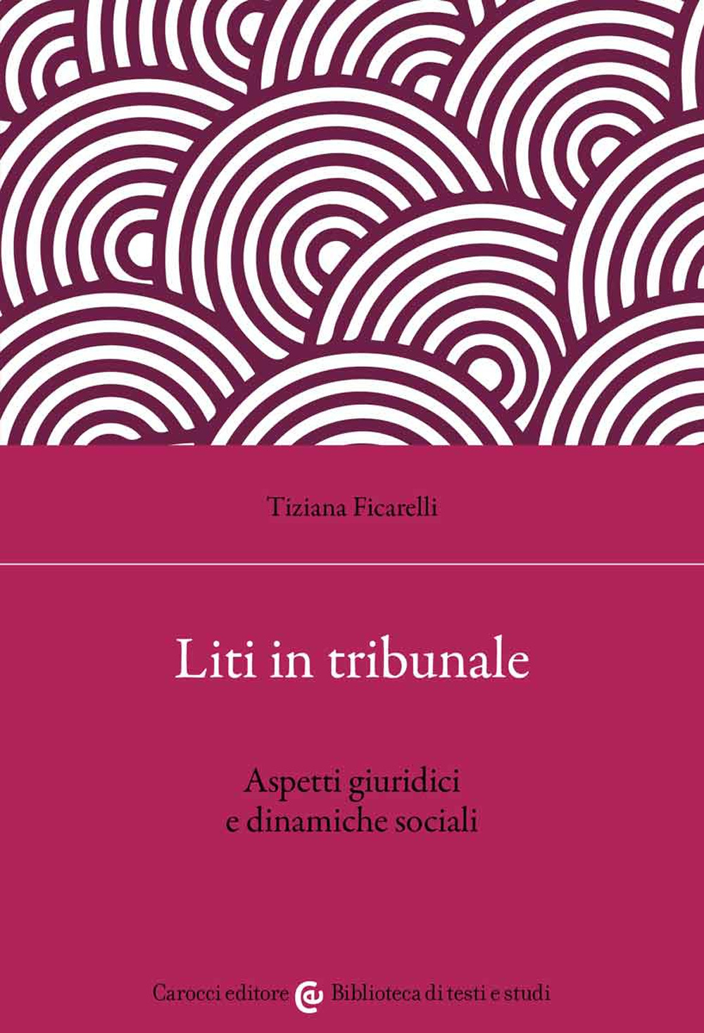 Liti in tribunale. Aspetti giuridici e dinamiche sociali