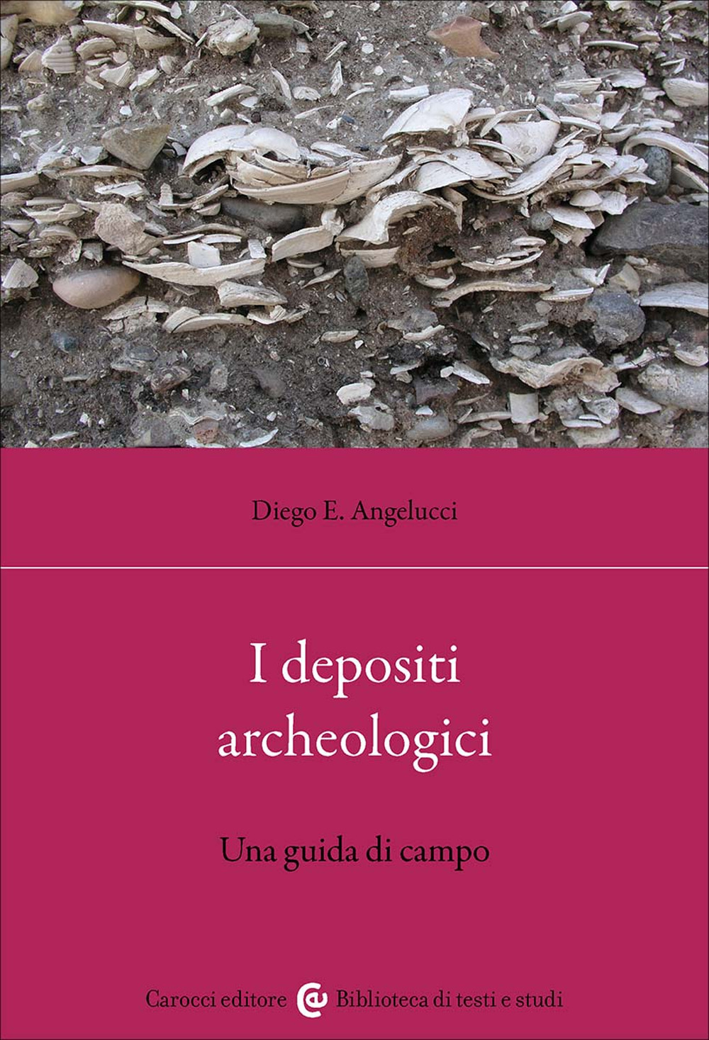 I depositi archeologici. Una guida di campo