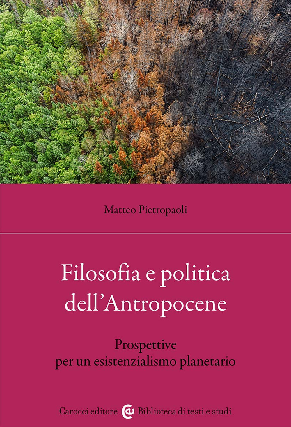 Filosofia e politica dell'antropocene. Prospettive per un esistenzialismo planetario