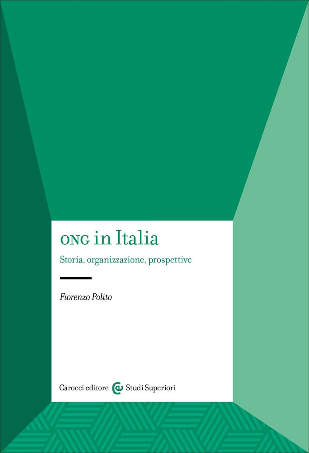 ONG in Italia. Storia, organizzazione, prospettive