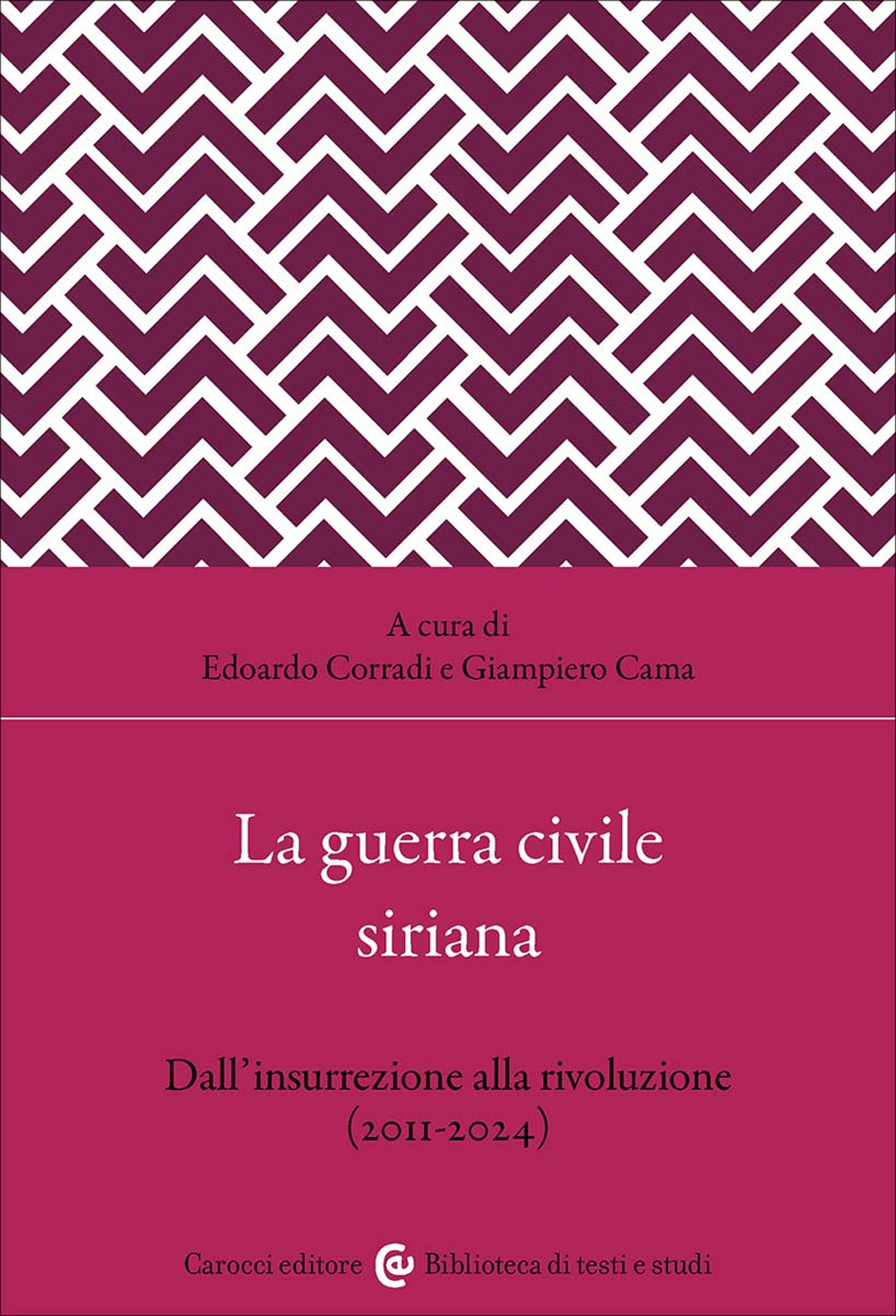 La guerra civile siriana. Dall'insurrezione alla rivoluzione (2011-2024)
