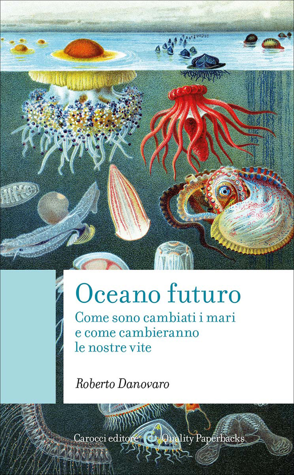 Oceano futuro. Come sono cambiati i mari e come cambieranno le nostre vite