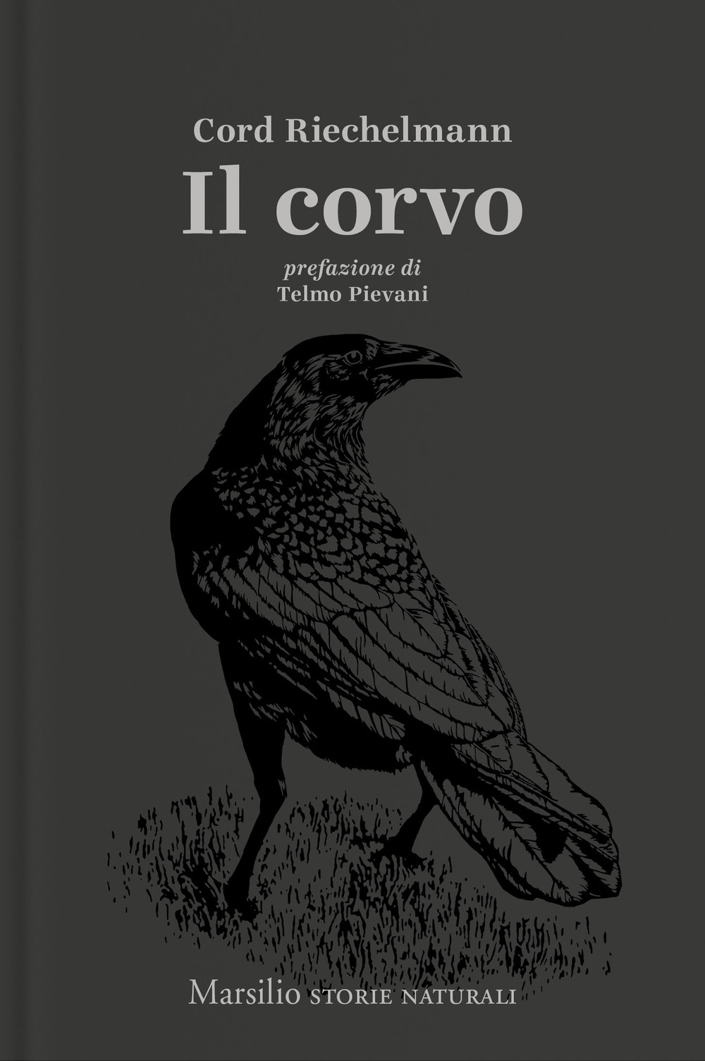 Il corvo
