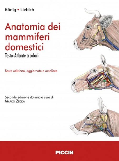 Anatomia dei mammiferi domestici