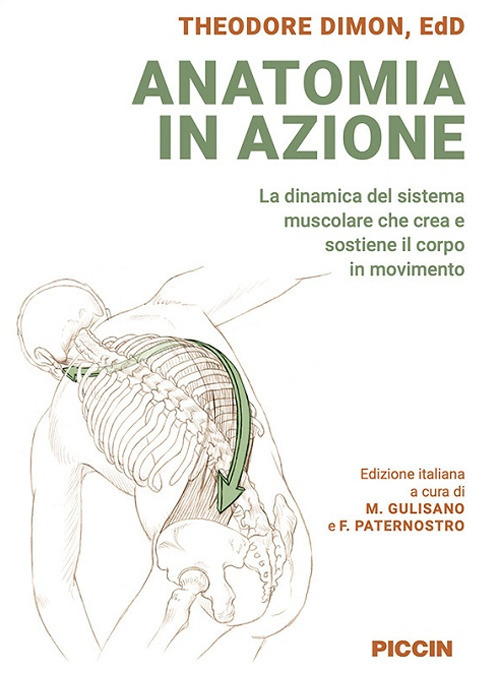 Anatomia in azione. La dinamica del sistema muscolare che crea e sostiene il corpo in movimento