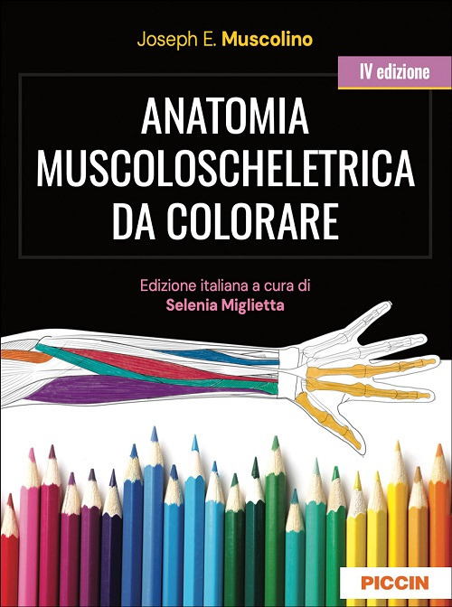 Anatomia muscoloscheletrica da colorare