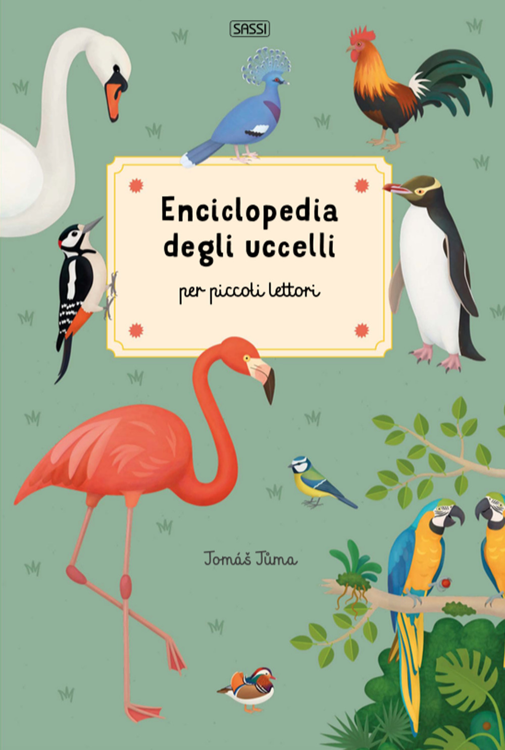Enciclopedia degli uccelli per piccoli lettori