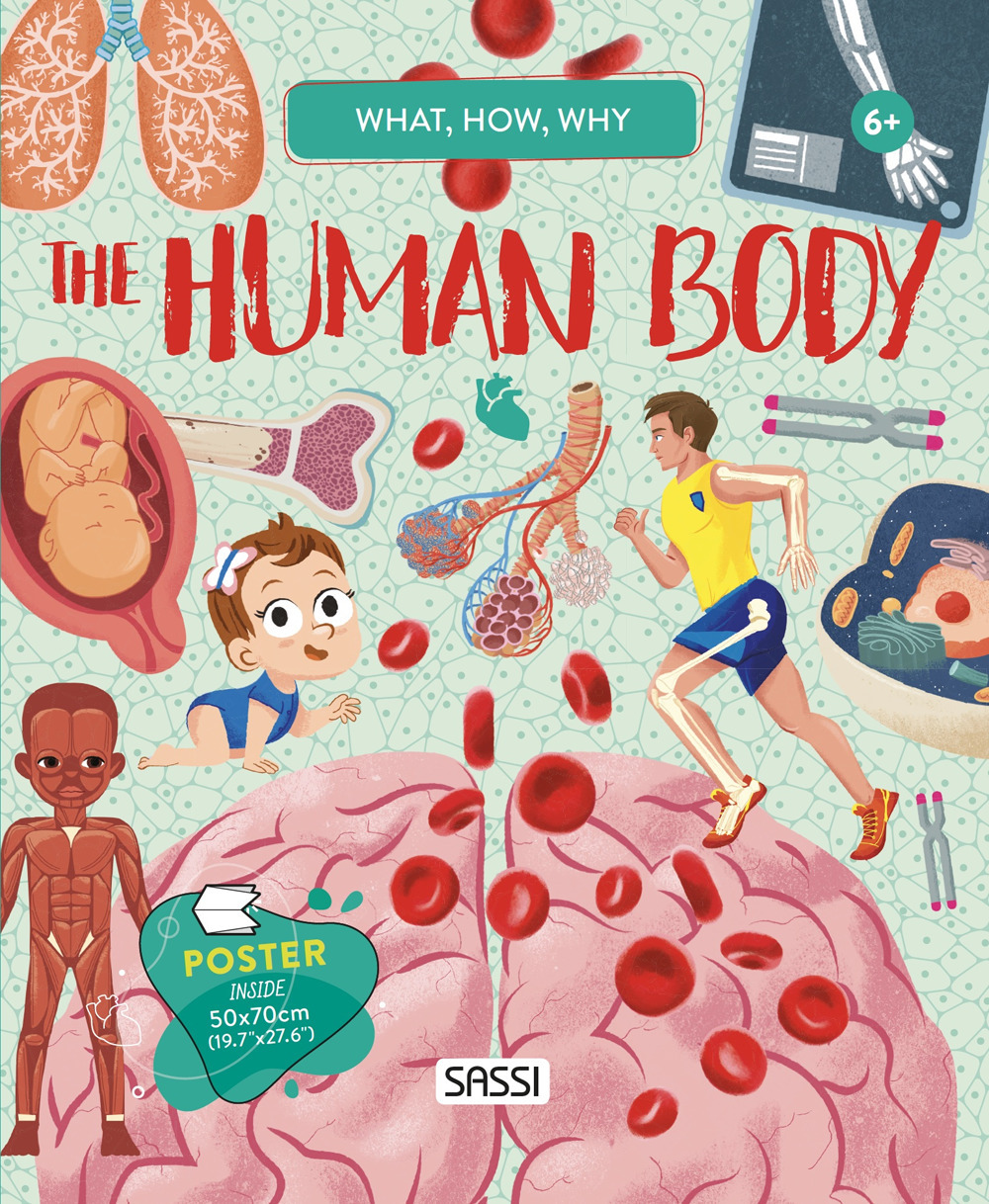 The human body. What, how, why