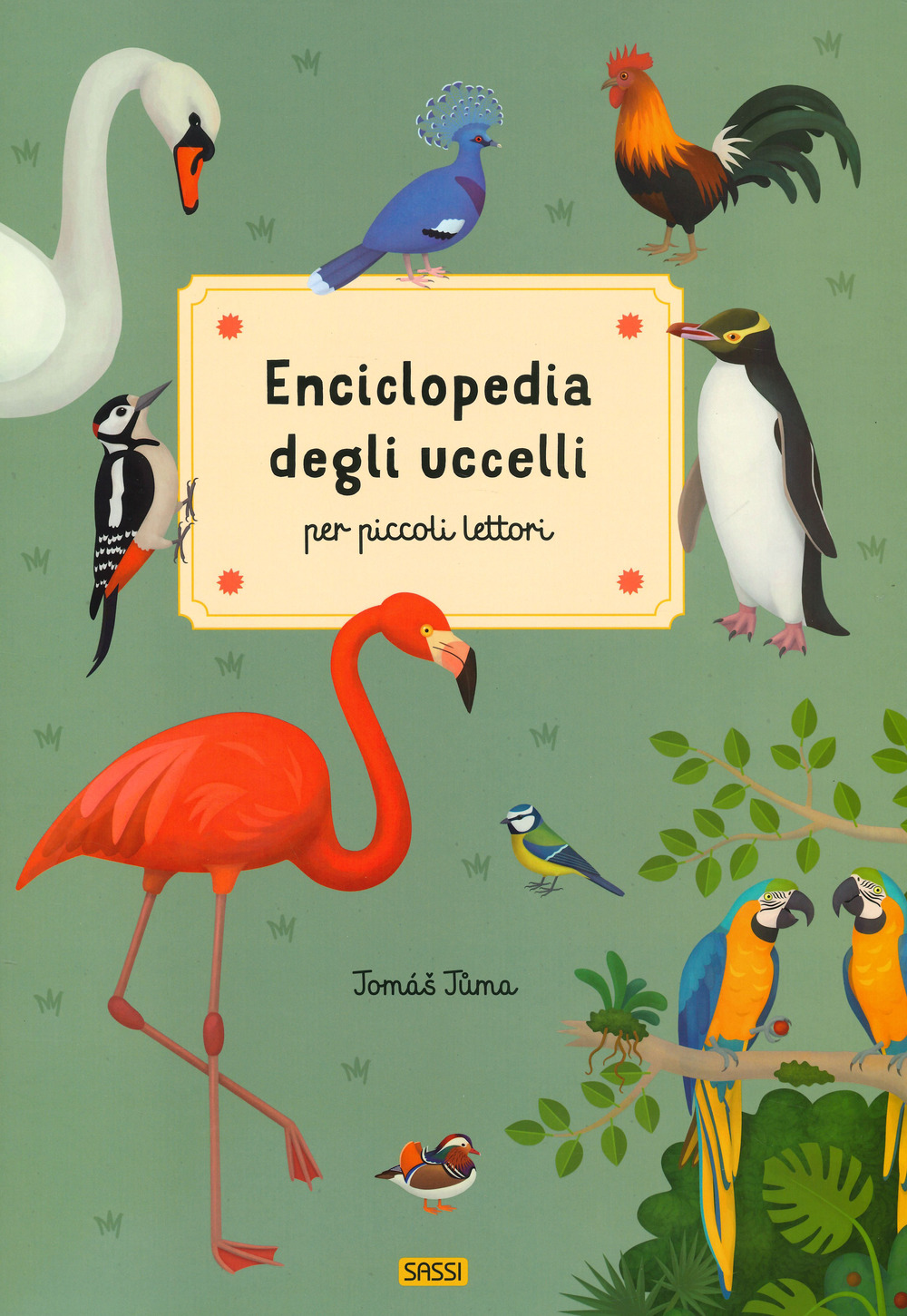 Enciclopedia degli uccelli per piccoli lettori