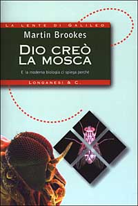 Dio creò la mosca