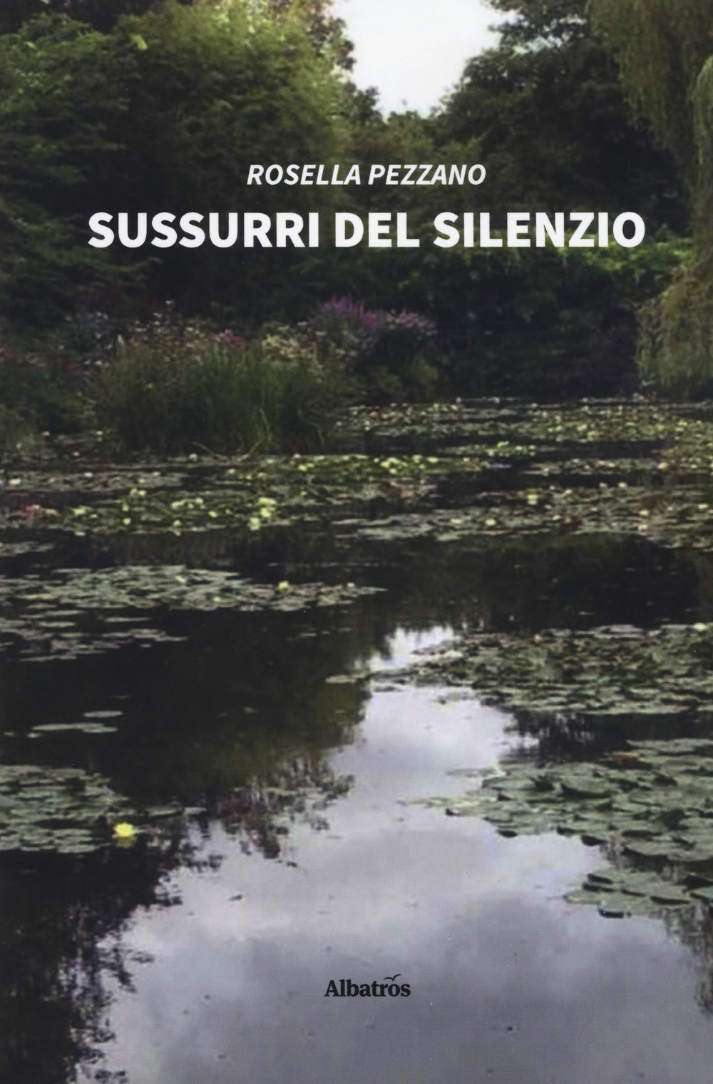 Sussurri del silenzio