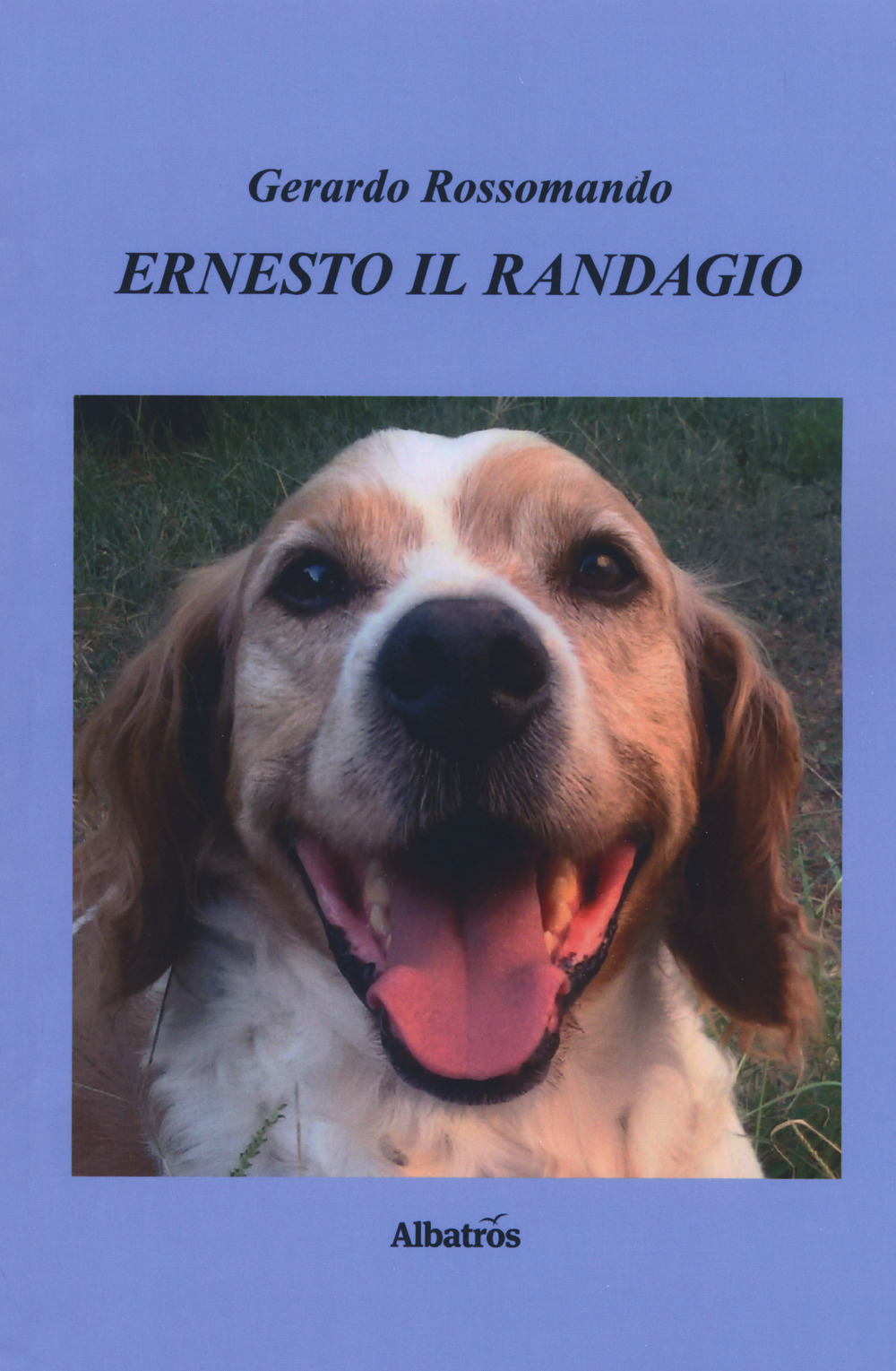 Ernesto il randagio