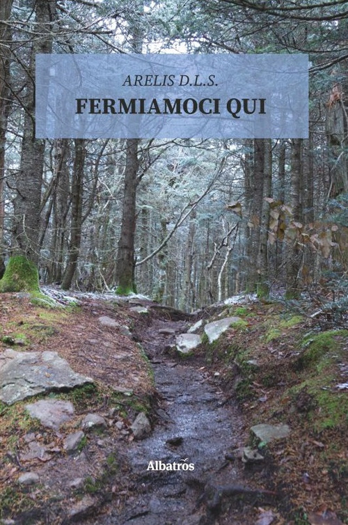 Fermiamoci qui