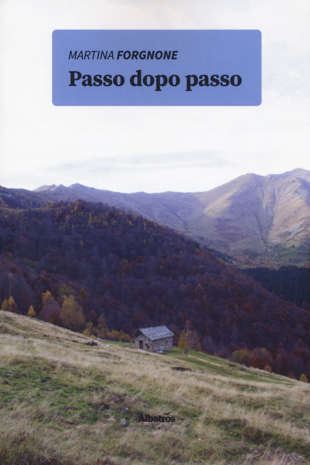 Passo dopo passo