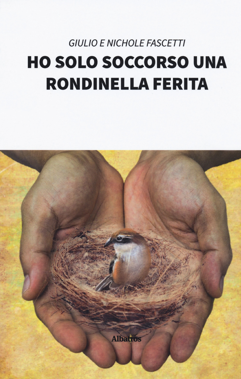 Ho solo soccorso una rondinella ferita