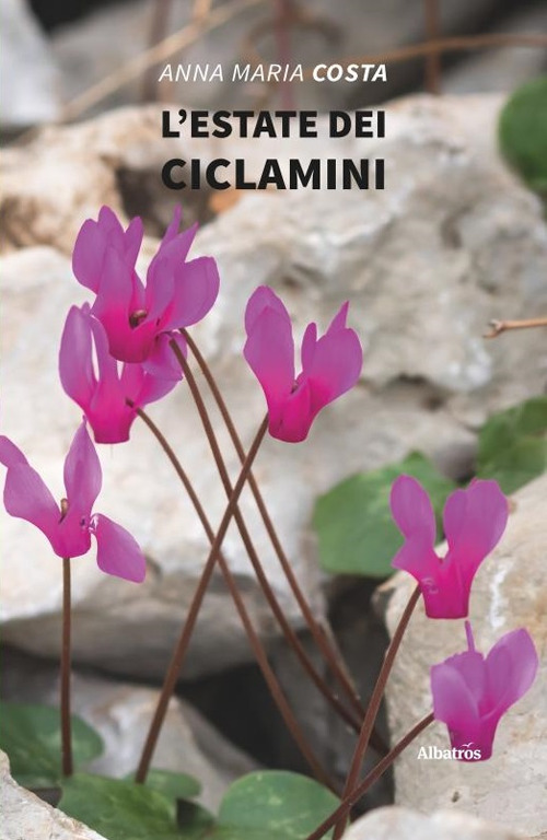 L'estate dei ciclamini