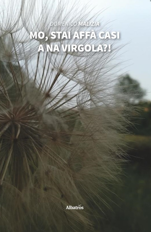 Mo, stai affà casi a na virgola?!