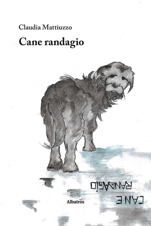 Cane randagio