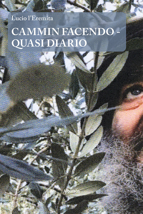 Cammin facendo. Quasi diario