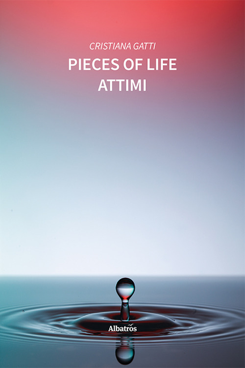 Pieces of life. Attimi