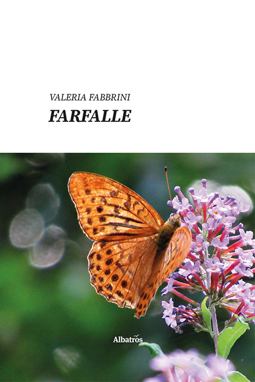 Farfalle