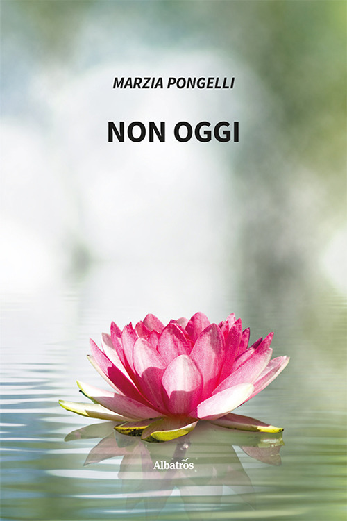 Non oggi