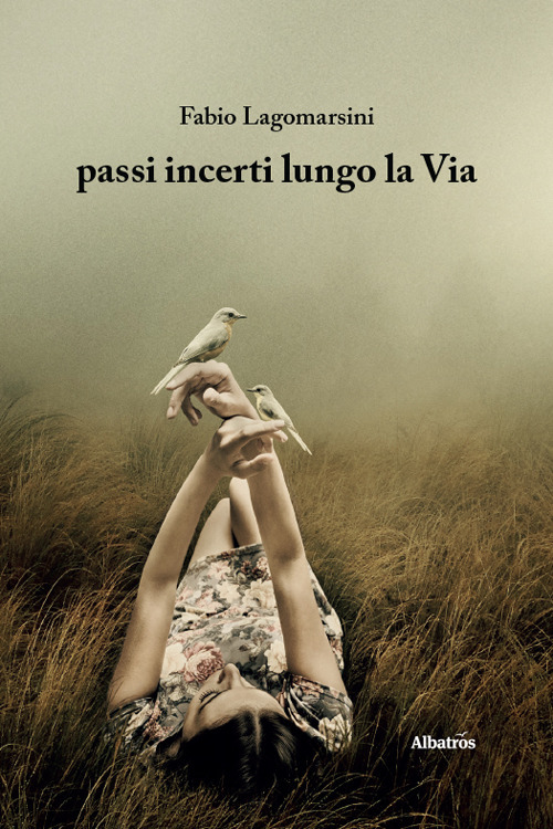 Passi incerti lungo la via