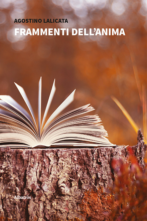 Frammenti dell'anima