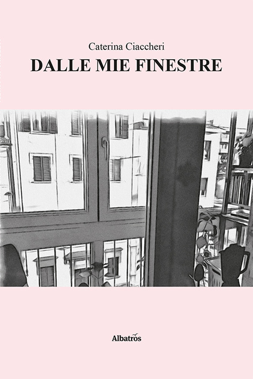 Dalle mie finestre